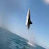 Λευκός καρχαρίας εκτινάσσεται 2,5 μετρά έξω από το νερό. Εντυπωσιακό βίντεο από εξερευνητές του θαλάσσιου αρπακτικού...  
