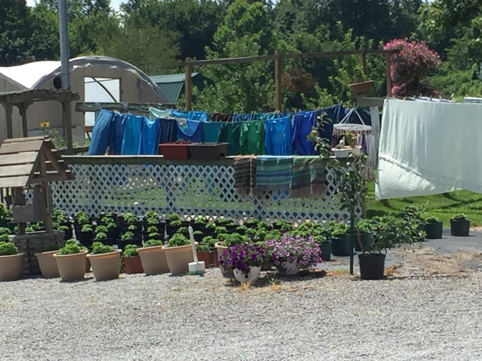 Snug Harbor Bay Amish Community Marion, KY