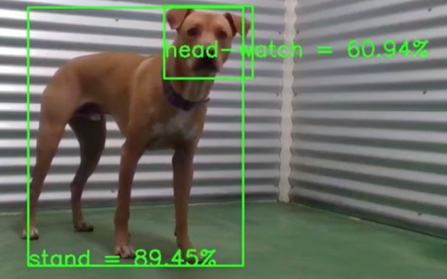 Autonomous Dog Training with Companion