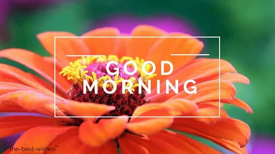 happy-monday-images-download happy monday images download
