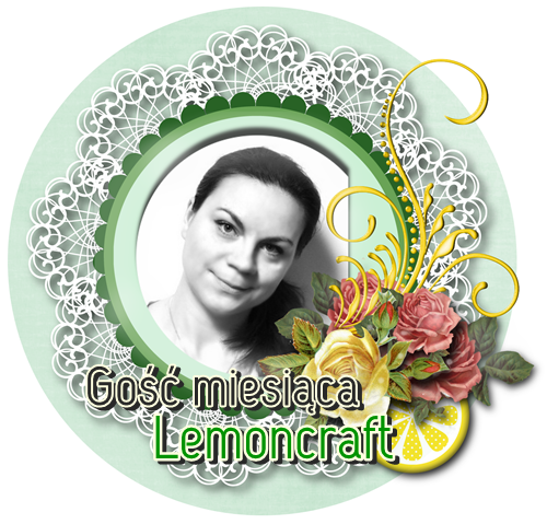 http://blog.lemoncraft.pl/2013/09/gosc-miesiaca.html