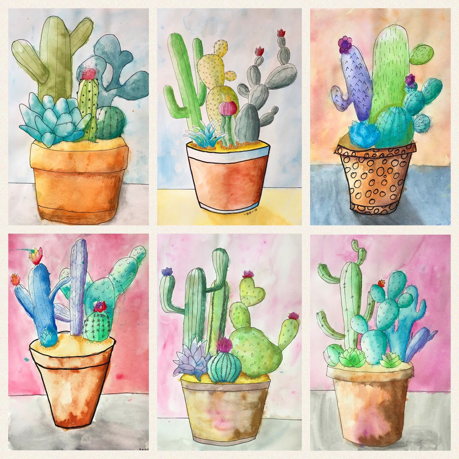 30 Best Cacti Images Cactus Kinds Of Cactus Small Cactus