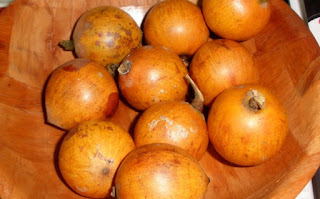 agbalumo