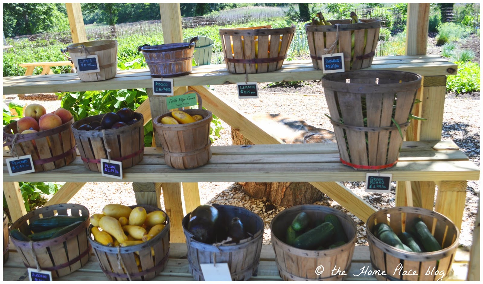 vegetable stand near me now vegetable stand near me now