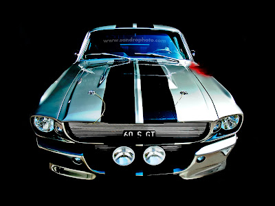 Mustang Muscle Car