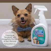 OmegaPet Pet Odor and Stain Remover