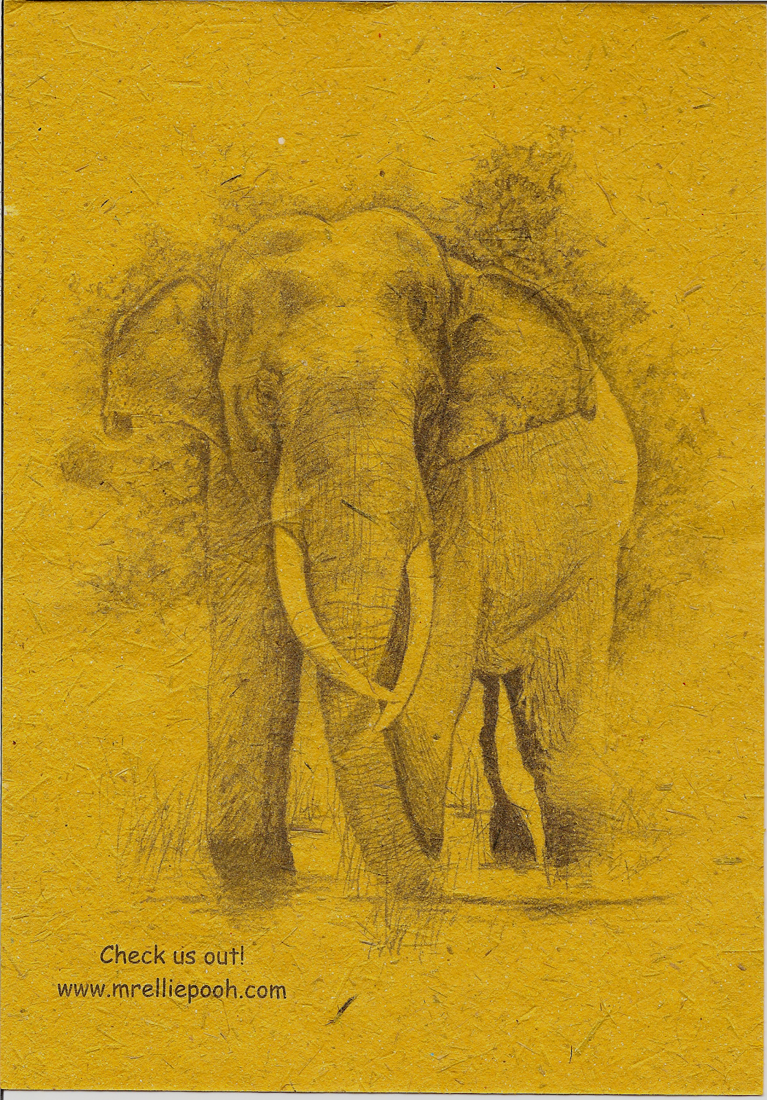 Review Elephant Poop Journal Admit it. You want to read this!