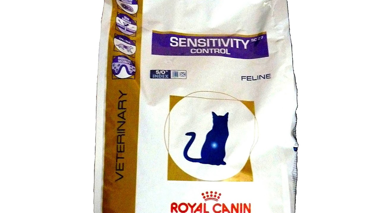Royal Canin Cat Food Gastrointestinal Cat Choices