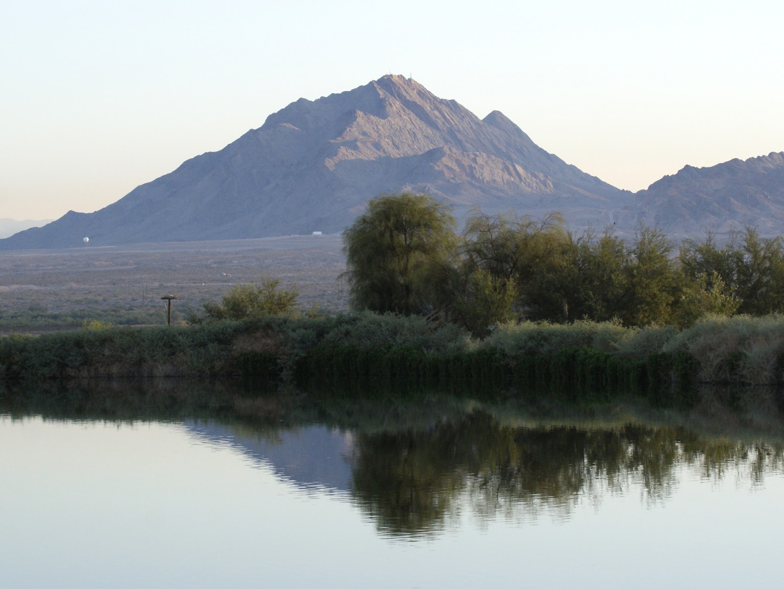 SE Texas Birding & Wildlife Watching Nevada & Utah Trip Las Vegas