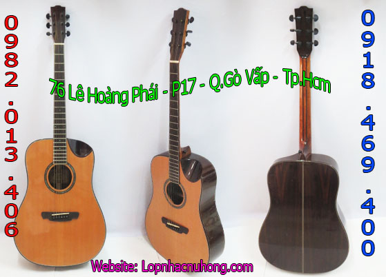 nhac-cu-minh-phat%2B%2528118%2529%2B-%2BCopy.jpg