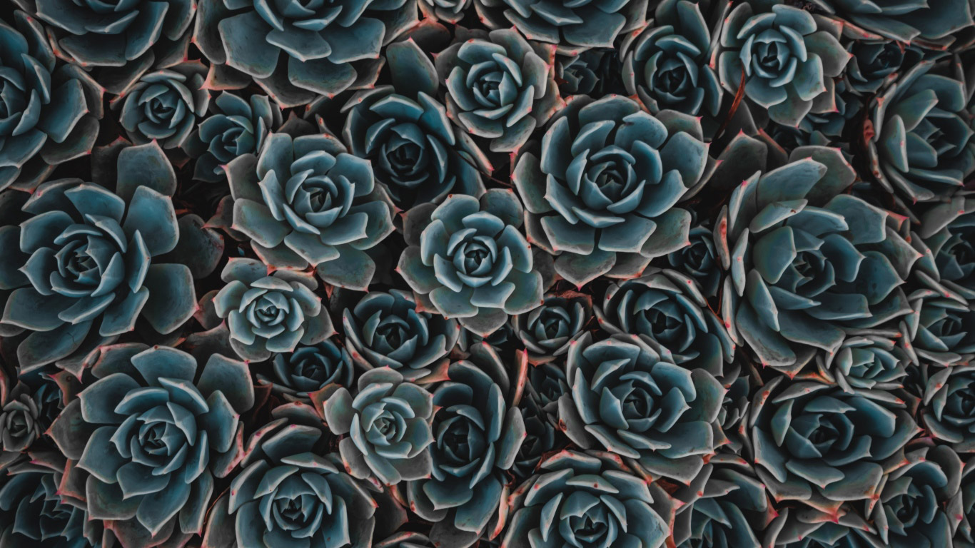 Littlebug 365: ภาพพื้นหลังอาร์ตๆ ธรรมชาติ ภาพพื้นหลังคอมพิวเตอร์