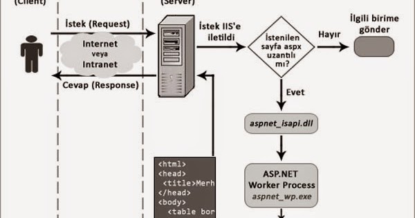 Response asp net. Asp.