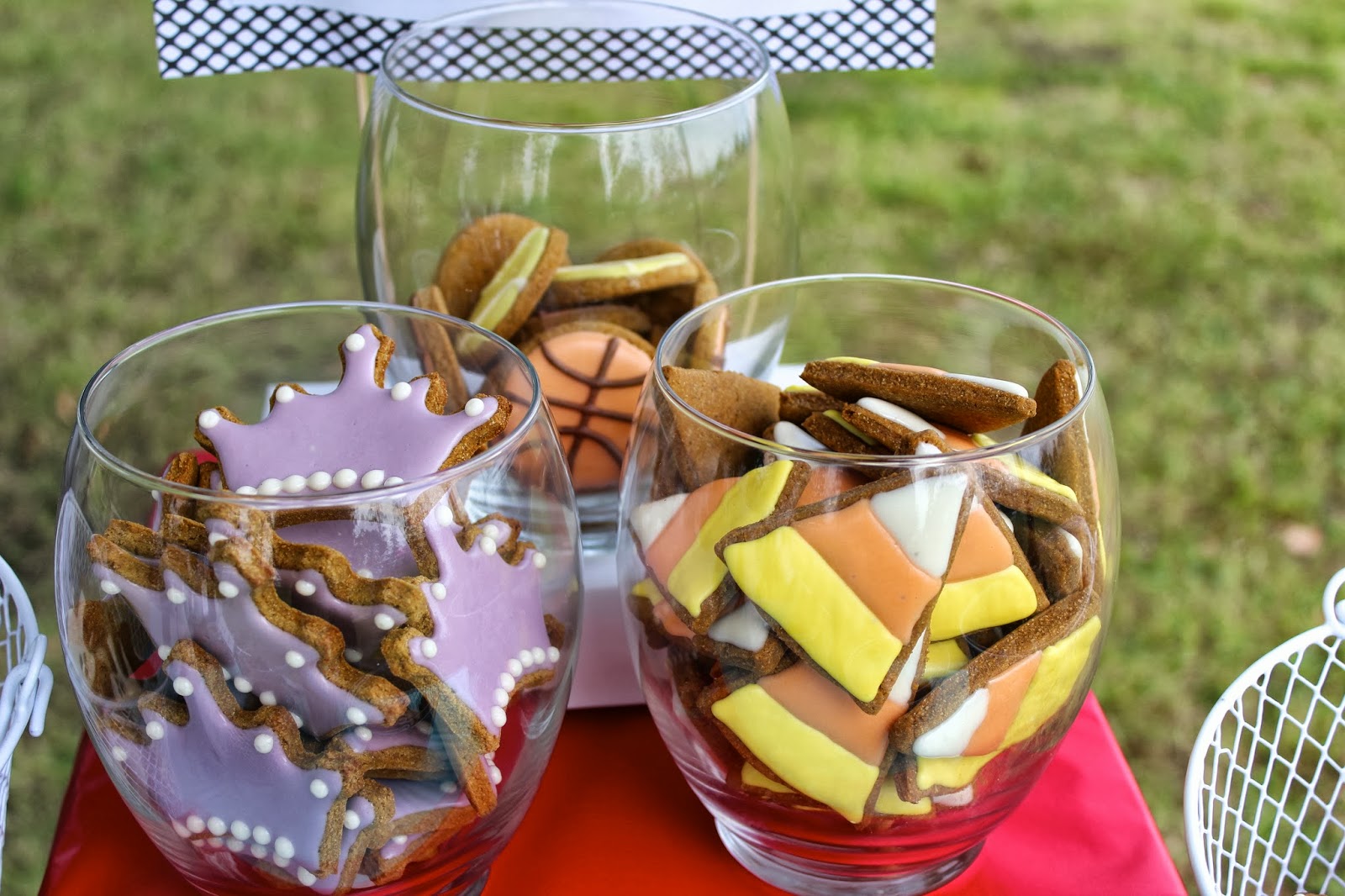 My Dog Treat Vendor Display Treat Dreams are Made Of This my-dog-treat-vendor-display-treat-dreams-are-made-of-this