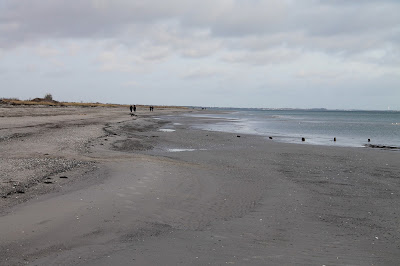 Vandringsløse Tidende: januar 2016