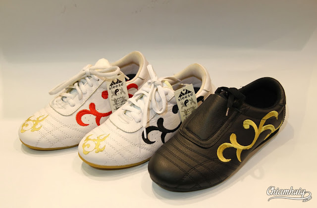 Taiji+shoes