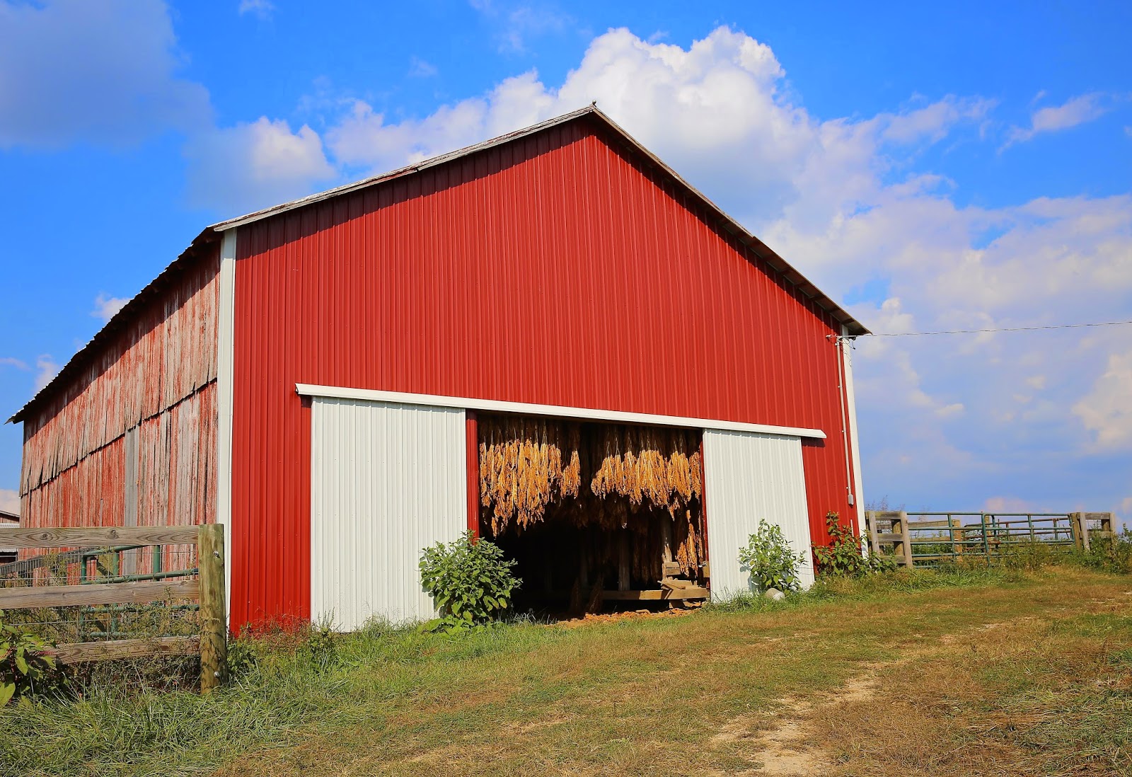 Sweet Southern Days Old Kentucky Tobacco Barns 65E