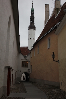 Día 8: Tallin. - Navidades en el Báltico (43)