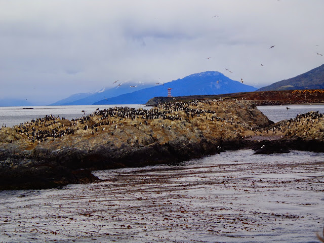 ushuaia passeio pelo canal beagle