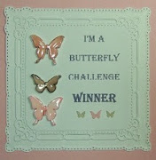 Mrs A's Butterfly Challenge