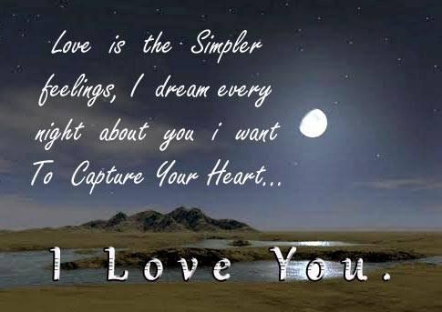 i love you romantic good night wishes quotes