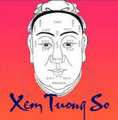 xem tướng mặt