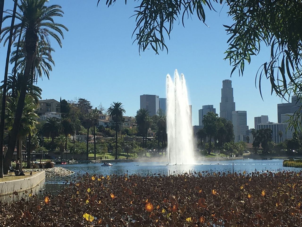 Experiencing Los Angeles Echo Park Lake (Part I)