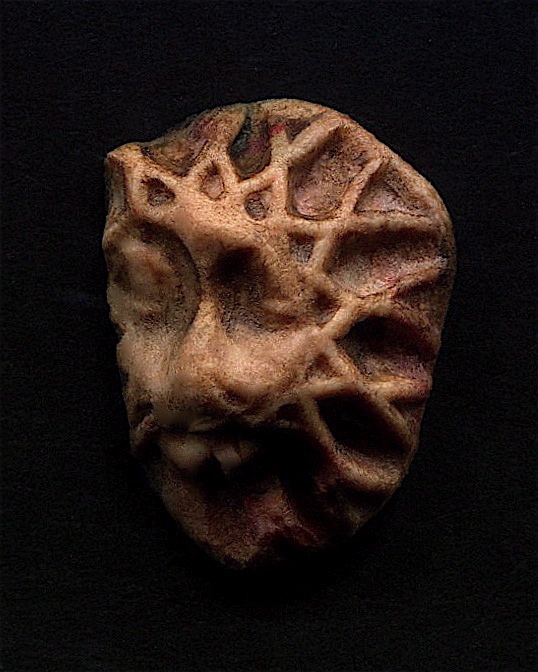 Hidden Missives: Saint Neot