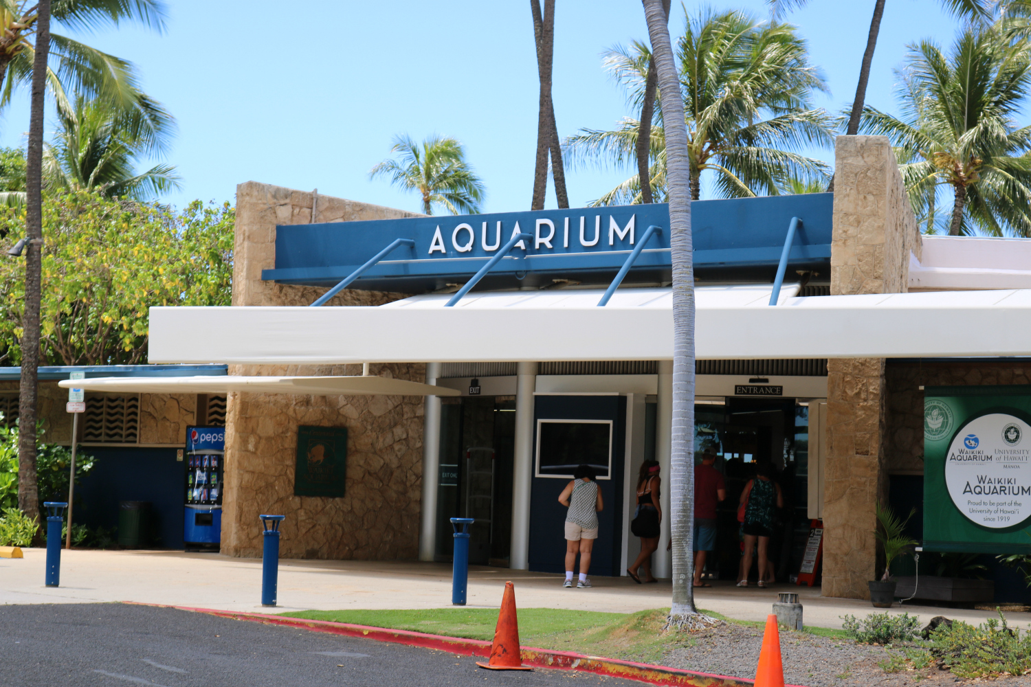 Southern In Law SIL in Hawaii The Wild Side of Waikiki