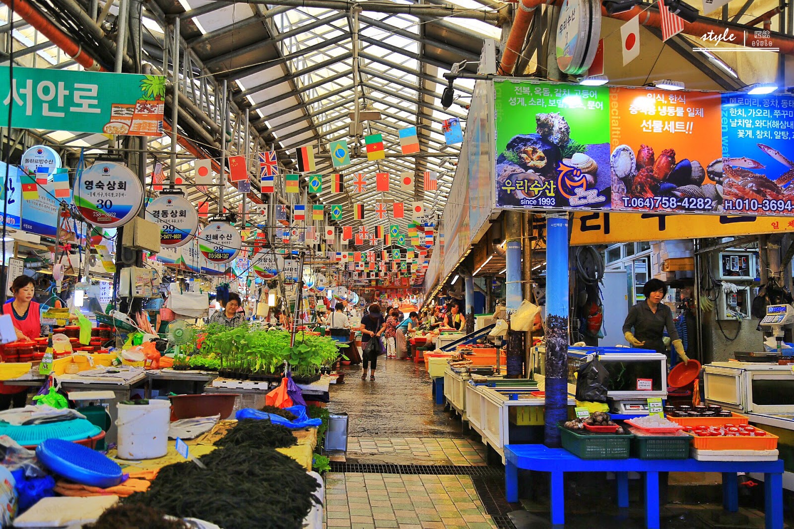 济州岛一家有名的海鲜拉面店“노라바”|济州岛|拉面店|拉面碗_新浪新闻