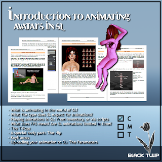 Class In A Box - Intro to Animating Avatars in SL (Book Format)