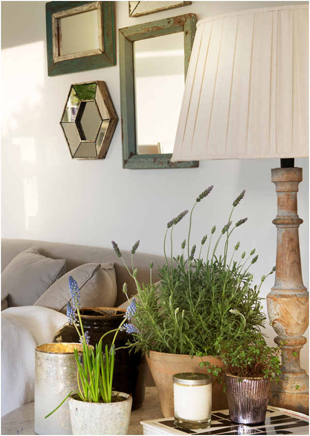 7 plantas que ayudan a subir el ánimo