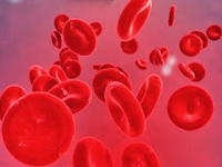 Pengertian dan Fungsi Sel Darah Merah
