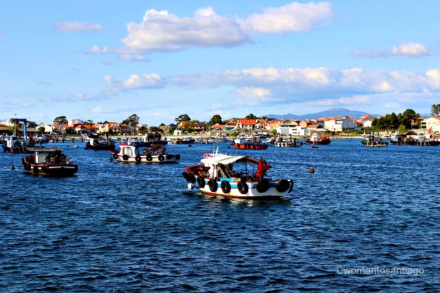 barcas-ogrove-ruta-xacobea-del-mar-de-arousa