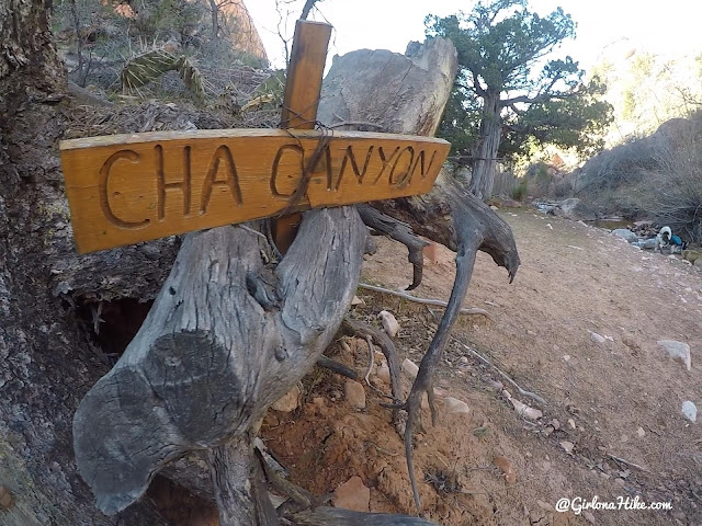 Backpacking to Rainbow Bridge National Monument Backpacking to Rainbow Bridge National Monument