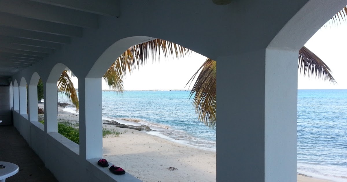 Happily Ever After Thoughts Shana Gray Visits Again with a New Release!