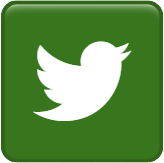 Share to Twitter