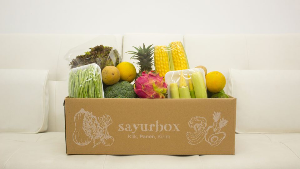 Belanja buah dan sayur segar di Sayurbox. (Cr: sayurbox.com)