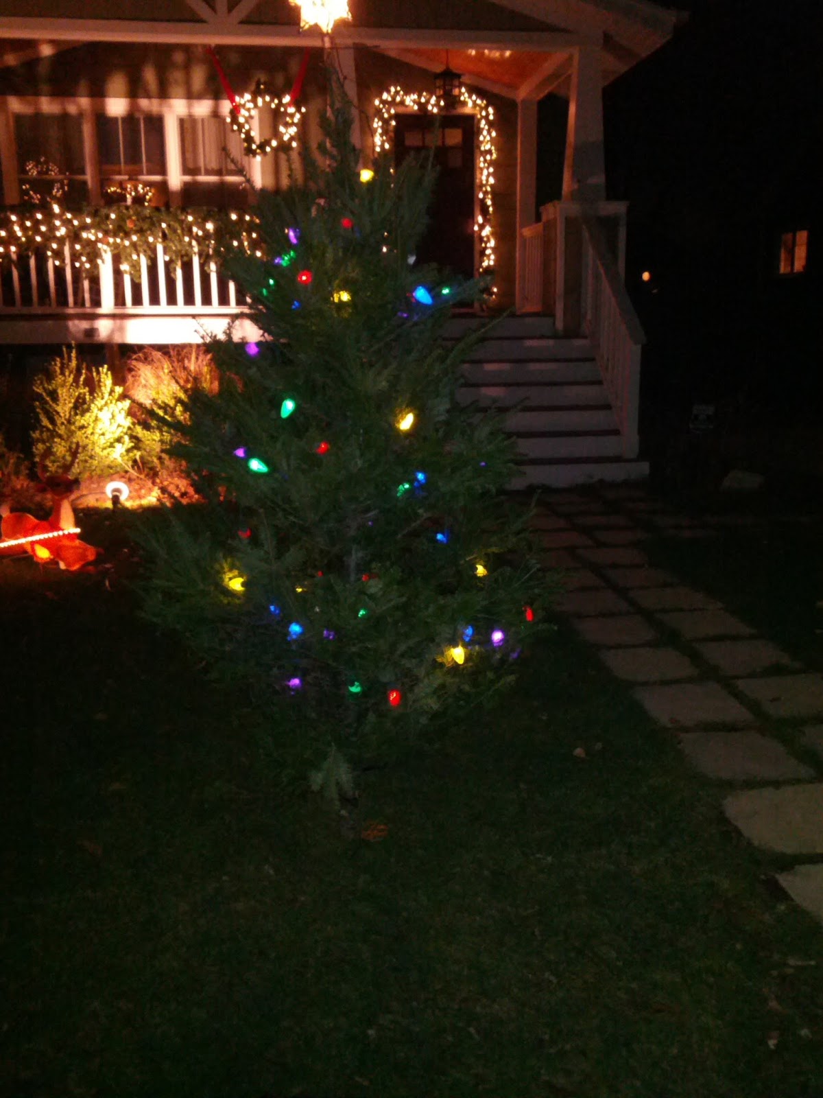 Our Front Yard Tree 2012 Edition