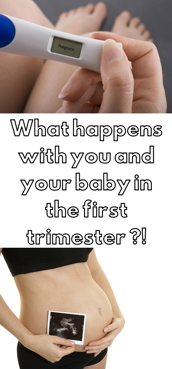 New Mommy The First Trimester Of Pregnancy new-mommy-the-first-trimester-of-pregnancy
