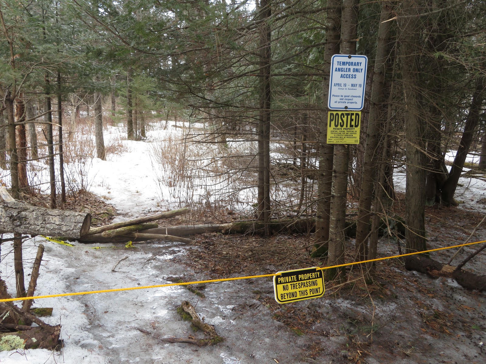 Sucker River Temporary angler access allowed...for now.