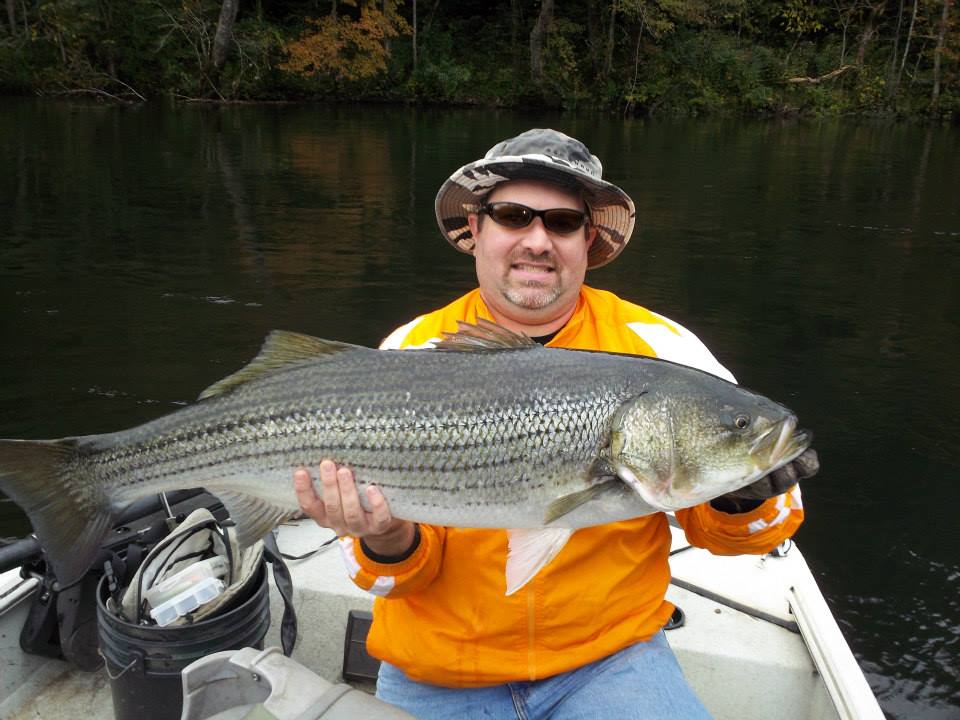 Fish On! Guided Tours. Knoxville, Tn Knoxville Tennessee's Premier Striper Fishing Guide Service