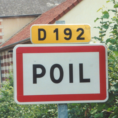 poil2.jpg