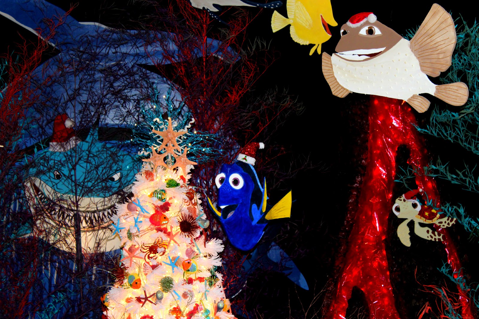 Around Roanoke, VA (A Daily Photo Blog) More Christmas Trees The