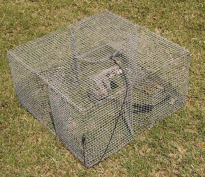 Homemade Fish Traps