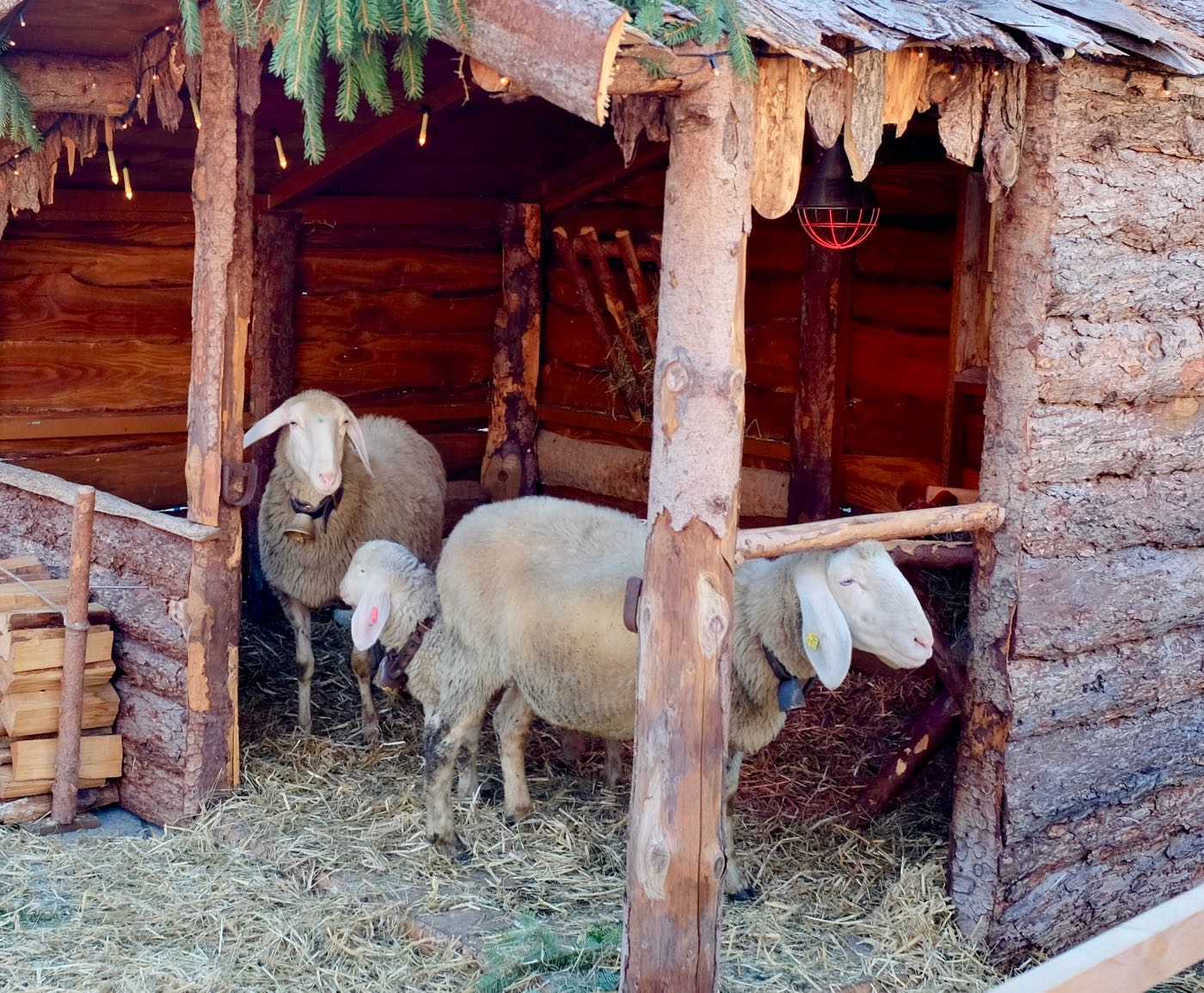 Glutenfrei City Scheidegg Im Allgau Und Bushcooks Kitchen