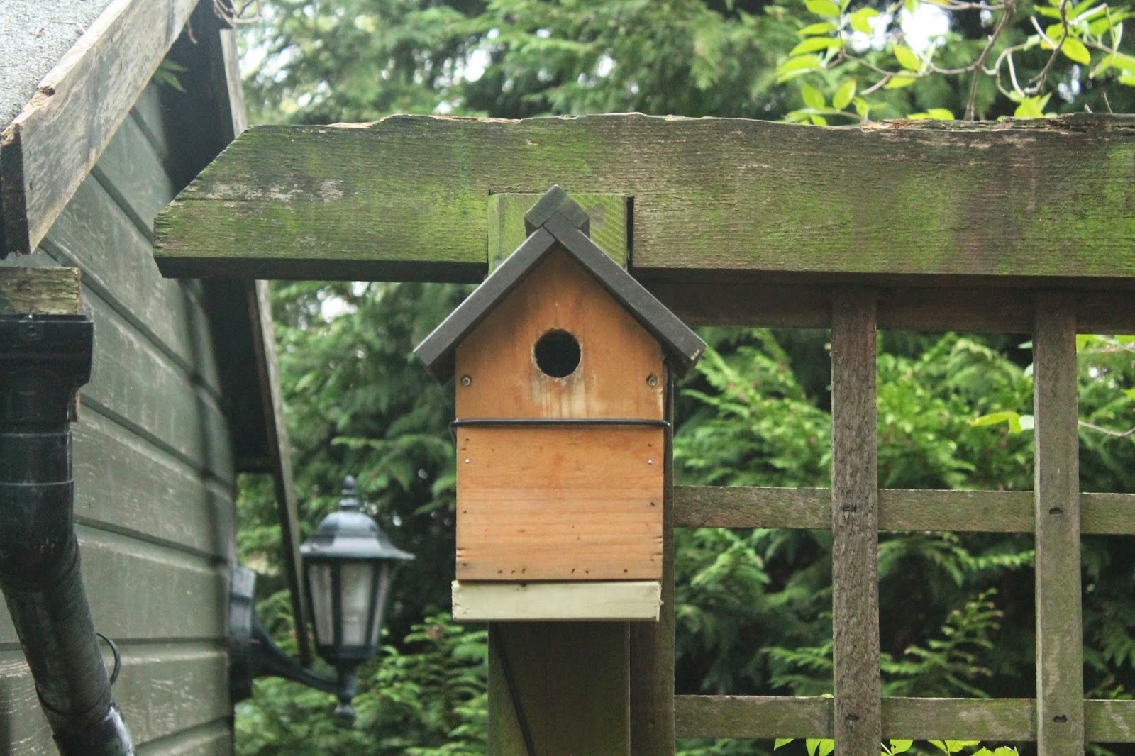 wildlifebilly: Bird Boxes 2015