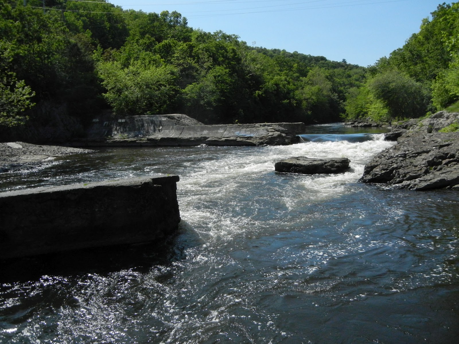 Farmington Valley Homeschool Hikers East Granby Cowles Park to