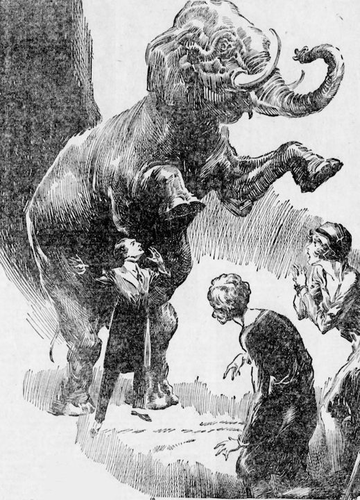 Wild About Harry 100 Years Ago Houdini Vanished An Elephant Wild About Harry 100 Years Ago Houdini Vanished An Elephant