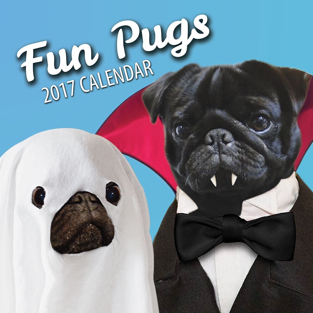 Welcome To Cassandra s Corner Fun Pugs 2017 Pug Wall Calendar welcome-to-cassandra-s-corner-fun-pugs-2017-pug-wall-calendar