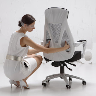 User Adjustments Hbada Ergonomic office Chair, Hiback Adjustable